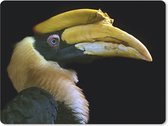 Muismat - Mousepad - Vogel - Snavel - Zwart - 23x19 cm - Muismatten