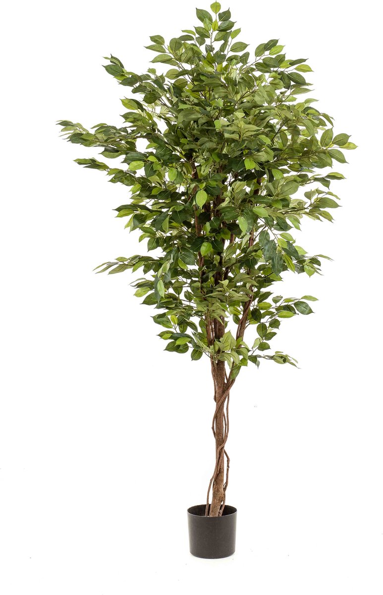Emerald Kunstboom Ficus Deluxe Vine 170cm - Kunstplant voor binnen Groen
