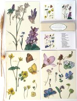 Botanische posters - bloemen en planten Set Citroenvlinder