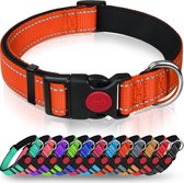 Taglory Reflecterende nylon hondenhalsband met veiligheidsgesp, verstelbare halsband, zachte neopreen voering, voor middelgrote honden, oranje