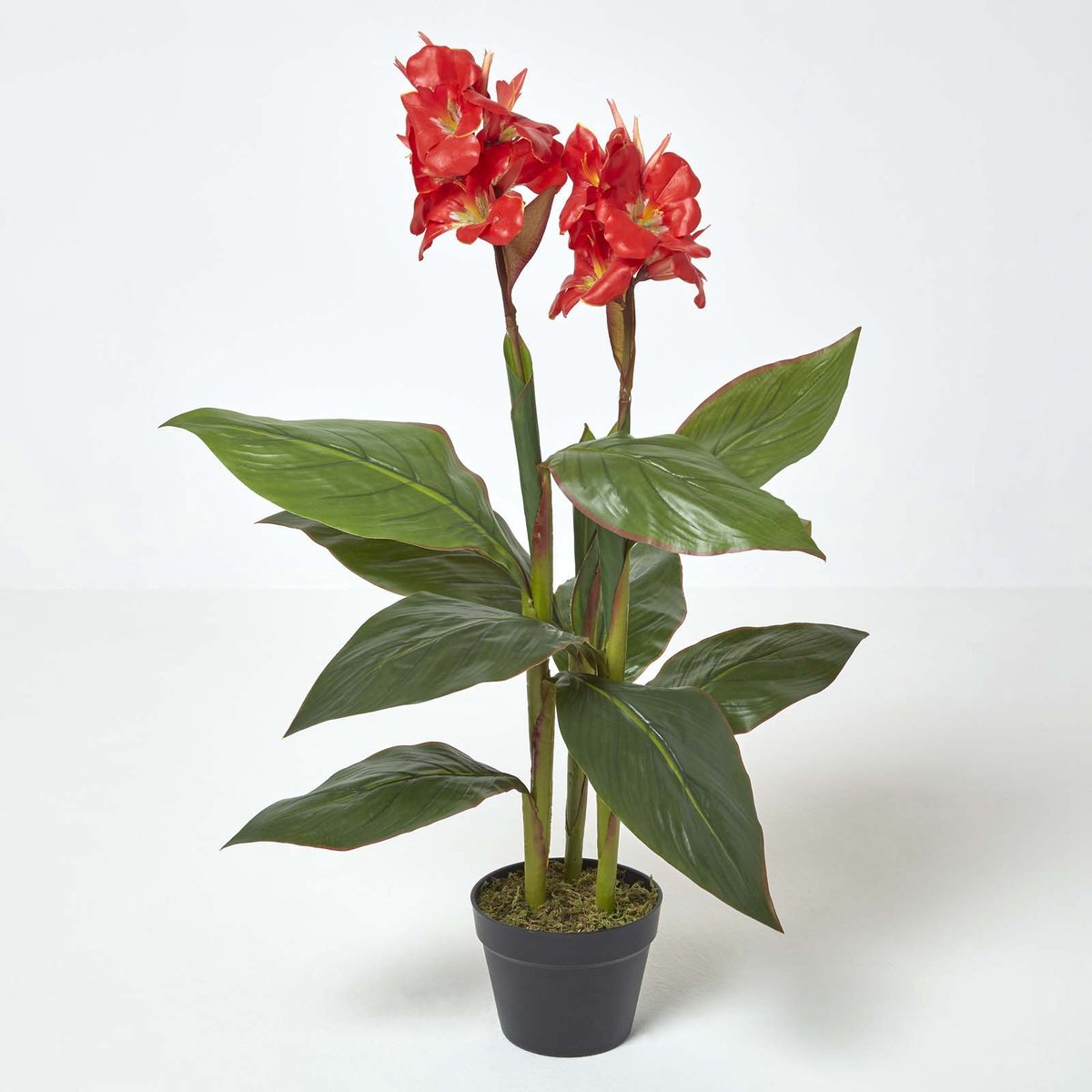 Homescapes Bloemenbuis Kunstplant in Pot - Rood - 90 cm