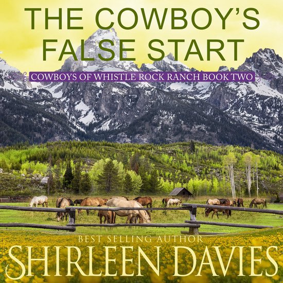 The Cowboy's False Start - cover