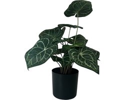 HEM Kunstplant Anthurium Crystallinum - 43 cm - 15 stengels uitlopend naar hartvormige bladeren - Net echte Kunstplant - Groene Kunstplant - Nep planten voor binnen - Kamer Decoratie - Nepplanten Kunst plant