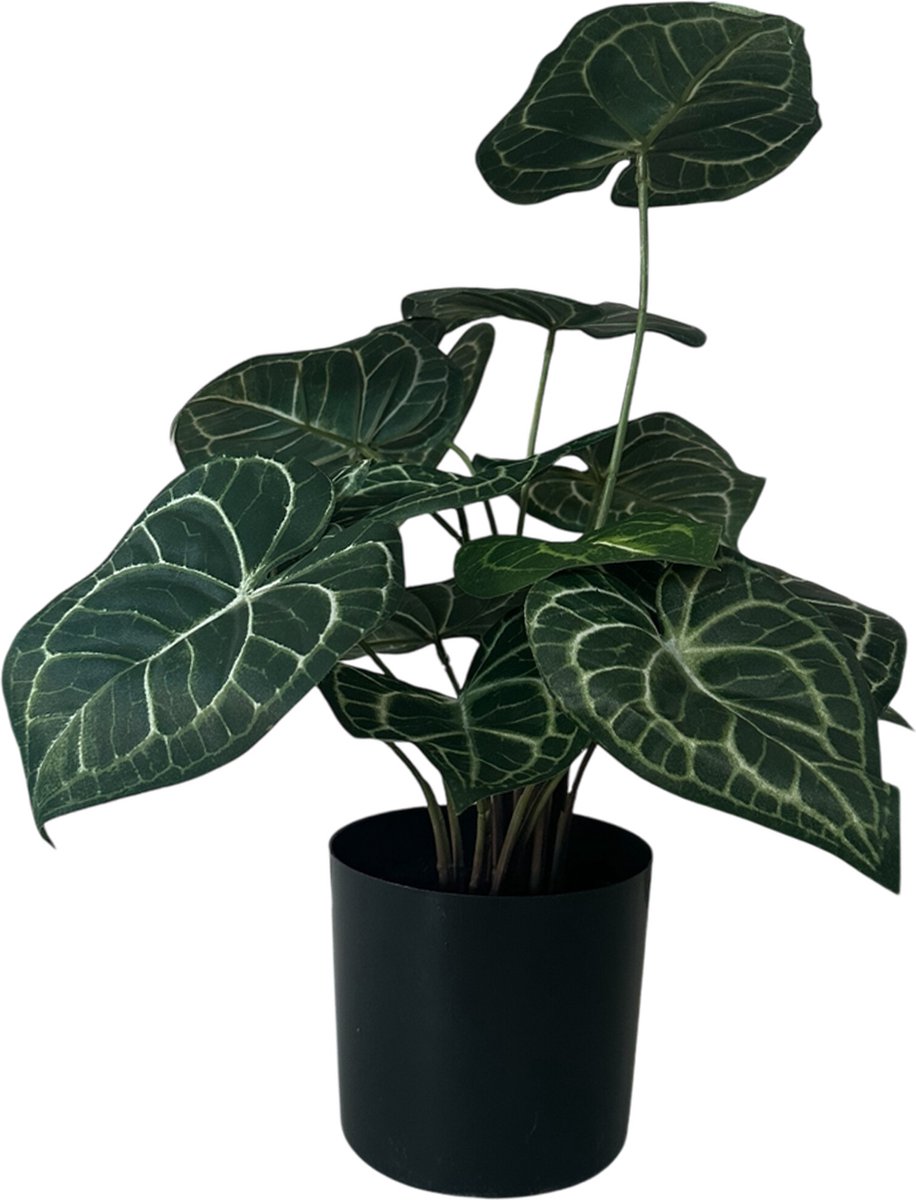 HEM Kunstplant Anthurium Crystallinum - 43 cm - 15 stengels uitlopend naar hartvormige bladeren - Net echte Kunstplant - Groene Kunstplant - Nep planten voor binnen - Kamer Decoratie - Nepplanten Kunst plant