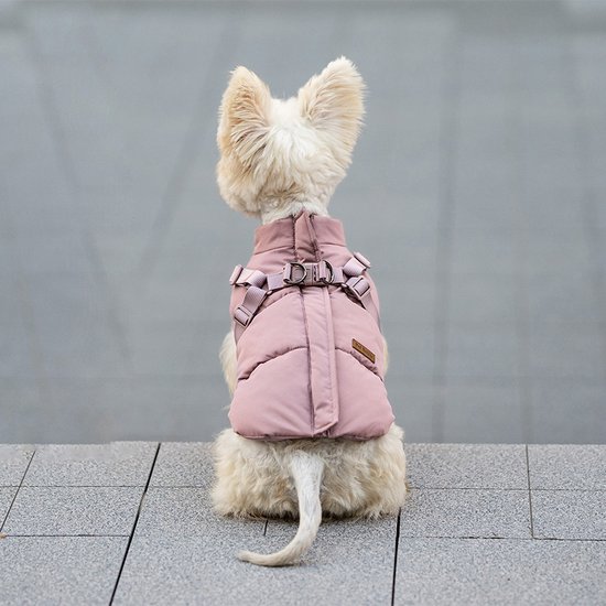 Westie in een roze, gewatteerde jas met bandjes en gesp, van achteren gezien.