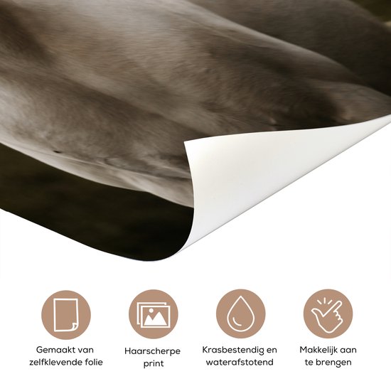 Affiche de porte - Cheval - Enfants - Automne - Animaux - Nature - Chambre d'enfant - Sticker de porte - Papier peint photo porte - Décoration de porte - Sticker autocollant - 80x205 cm - Chambre à coucher - Décoration de chambre