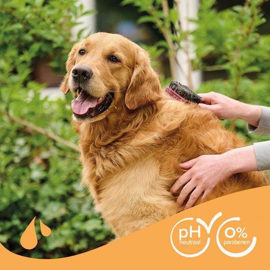 Beaphar Shampoo Bruine Vacht Hond - Hondenvachtverzorging - 250 ml