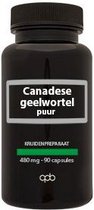 APB Holland Canadese geelwortel extract puur forte 480mg 90 Vegetarische capsules