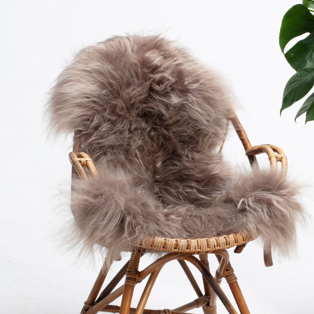 SHEEPY® | Schapenvacht | Súla (Taupe) L (105-110cm) - Sheepy.cc
