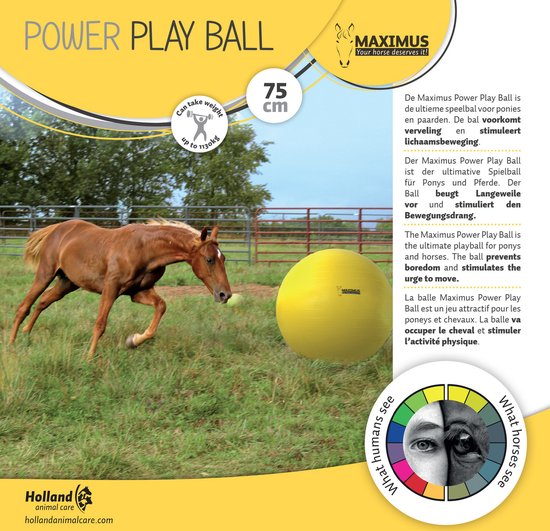 Foto: Hofman maximus power play ball 75 cm speelgoed voor paarden geel