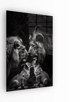 Indoorart - Glasschilderij Leeuwenliefde 40x60 CM - Afbeelding op plexiglas - Inclusief montagemateriaal