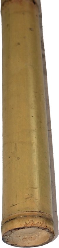 Perche en bambou Moso 3-5 200
