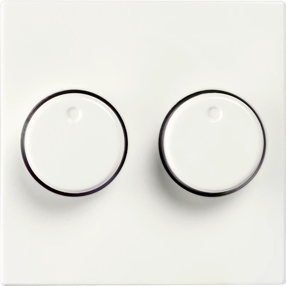 ION Industries - V1/J1 centraalplaat met knop - duo dimmer - 55 x 55 mm - Alpin Wit