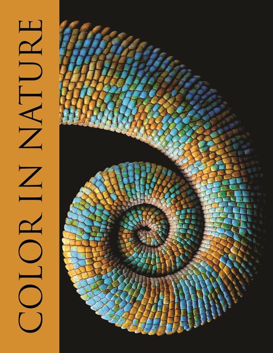 Color in Nature - cover