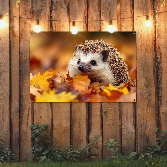Egeltje in herfstbladeren hangend aan een houten schutting.