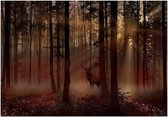 Zelfklevend fotobehang - Mystical Forest - First Variant.