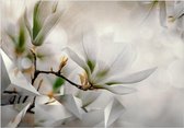 Zelfklevend fotobehang - Subtle Magnolias - Second Variant.