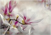 Zelfklevend fotobehang - Subtle Magnolias - Third Variant.
