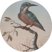 Behangcirkel ijsvogel  | ⌀ 140 cm | Wandecoratie | Wandcirkel