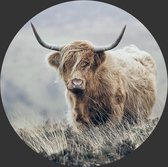 Behangcirkel Schotse hooglander in de natuur | ⌀ 120cm | Wandecoratie | Wandcirkel