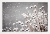 JUNIQE - Poster met houten lijst Watching Snow Settle @PixLifePhoto