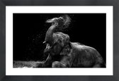 JUNIQE - Poster in houten lijst Frolicking Elephant -40x60 /Zwart