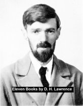 D. H. Lawrence: 11 Books