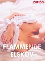 Cupido - Flammende elskov – erotiske noveller (NO)