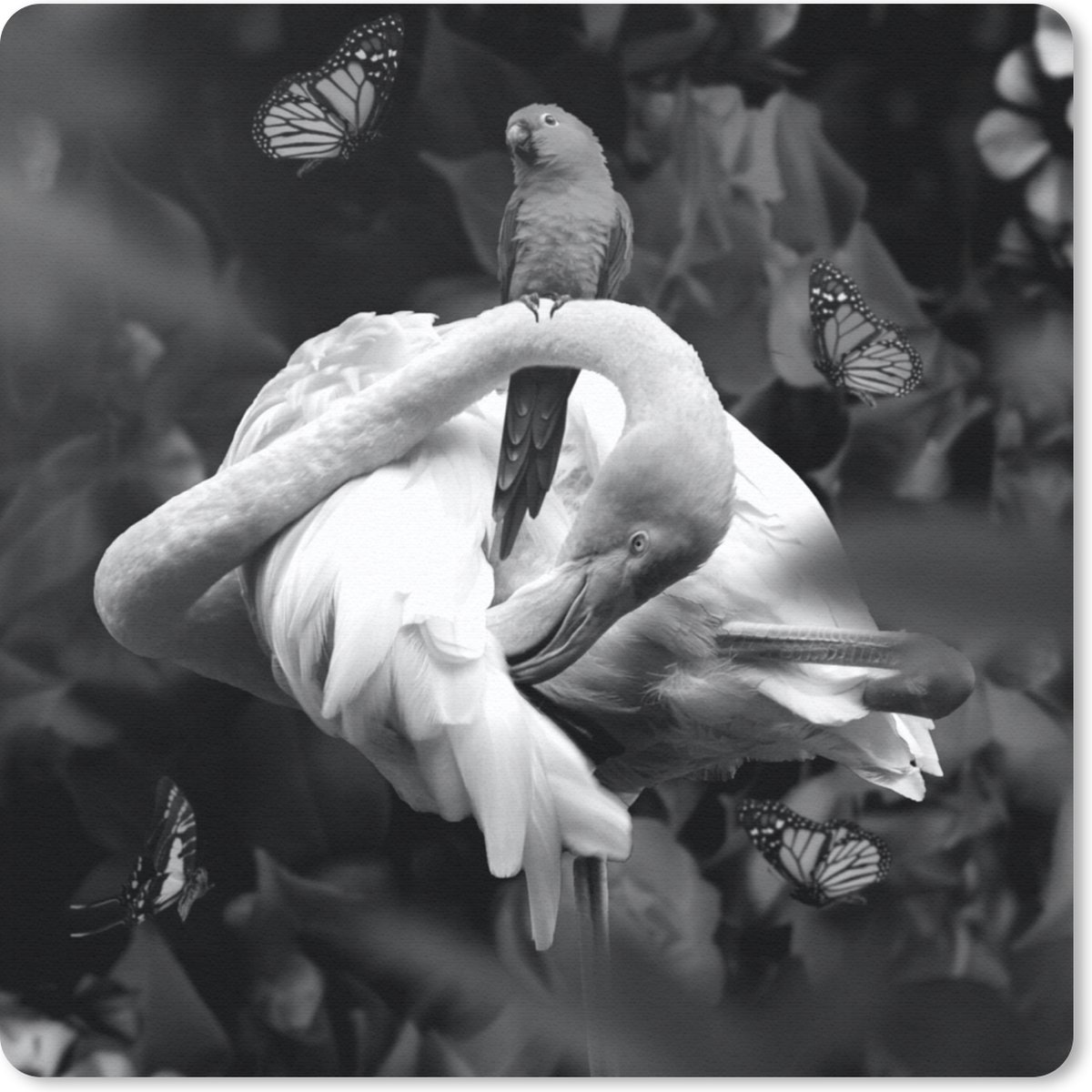 Muismat 20x20 cm - Mousepad Flamingo - Dieren - Jungle - Zwart - Wit - Muismatten