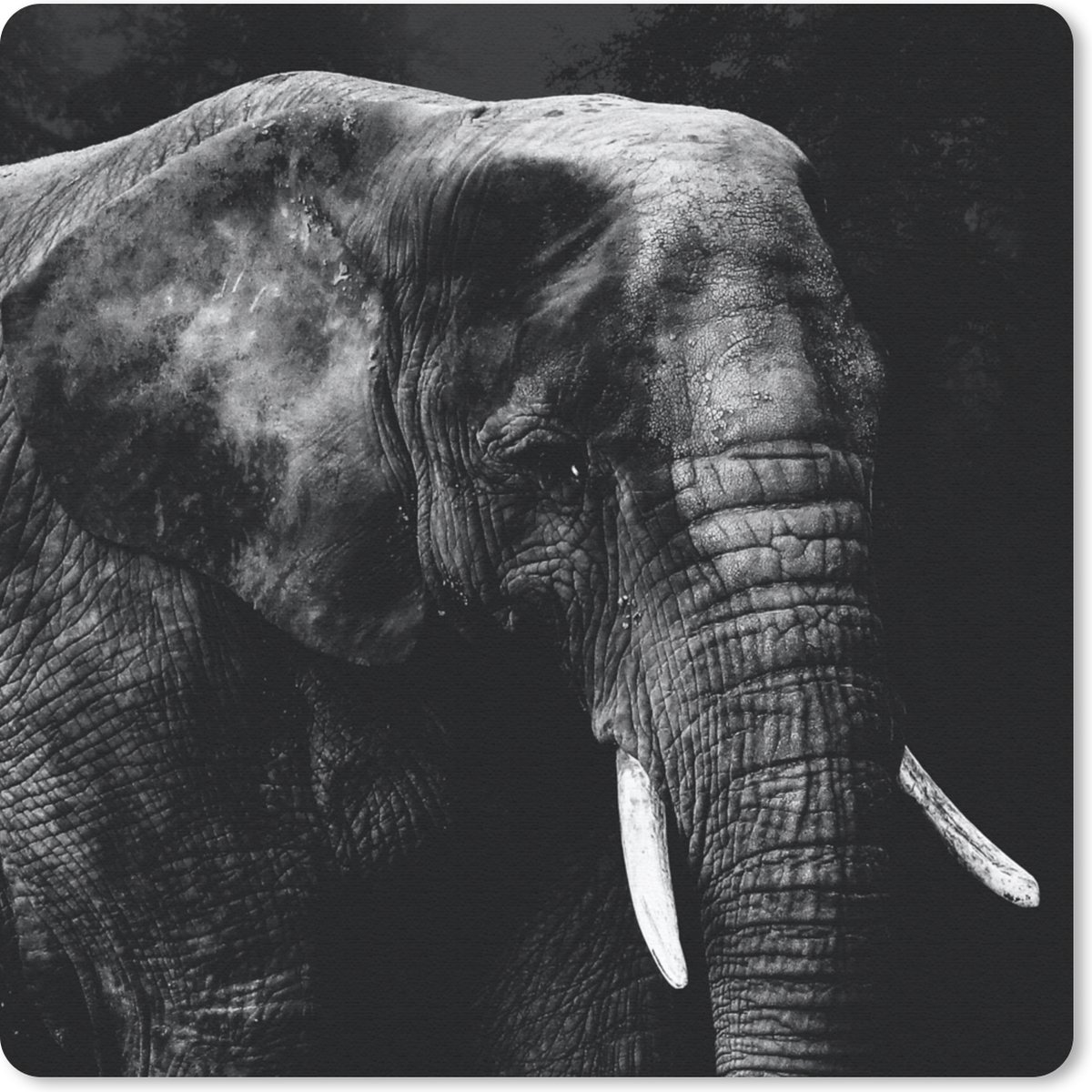 Muismat 20x20 cm - Mousepad Olifant - Dieren - Zwart - Wit - Muismatten