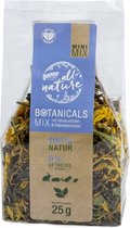 BOTANICALS MINI HIBISC/PETERS 25GR