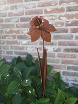Tuinsteker 3D Narcis van staal -roest- tuindecoratie- tuinprikker