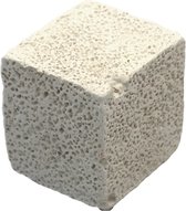 CHINCHILLA NIBBLING CUBE