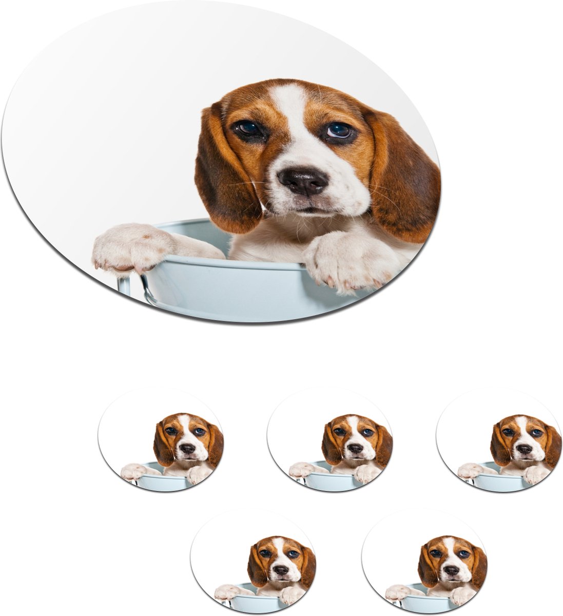 Onderzetters voor glazen - Rond - Pup - Beagle - Emmer - 10x10 cm - Glasonderzetters - 6 stuks
