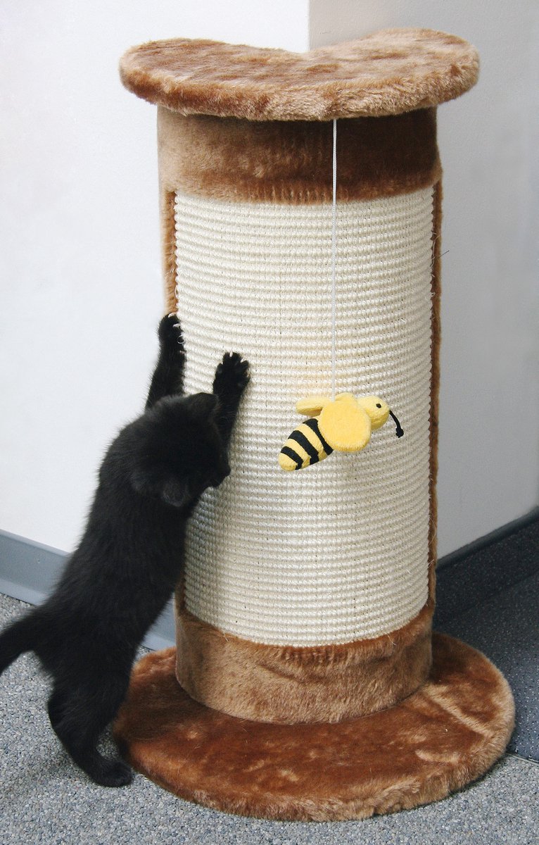 Krabpaal Corner Bruin