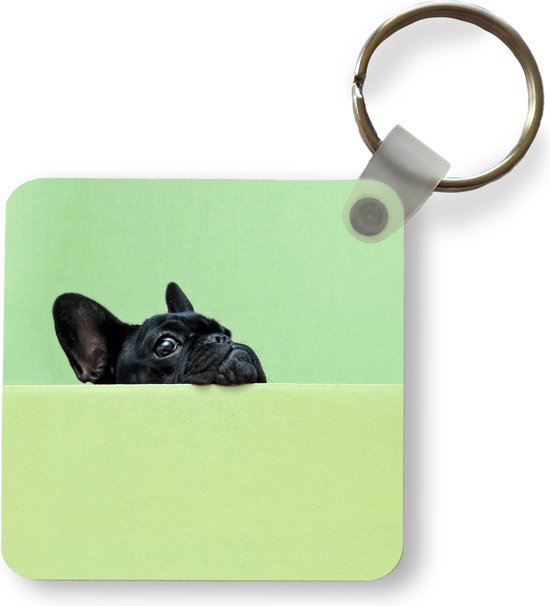 Sleutelhanger - Franse Bulldog - Groen - Zwart - Plastic - Rond -  Uitdeelcadeautjes | bol.com