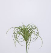 Kunsttak - Tillandsia - vetplant - cactus- topkwaliteit decoratie - 2 stuks - zijden tak - groen - 10 cm hoog