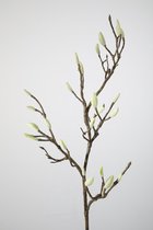 Kunsttak - Magnolia - topkwaliteit decoratie - 2 stuks - zijden tak - groen - 77 cm hoog