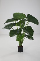 Alocasia kunstplant - skeletplant - topkwaliteit kamerplant - 80 cm hoog