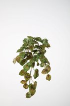 kunstplant - Watermelon leaf - hedera- topkwaliteit plant - hangplant - groen - 52 cm hoog