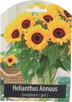 Bloemzaden - Zonnebloem Geel - Helianthus Annuus - Inclusief Handleiding
