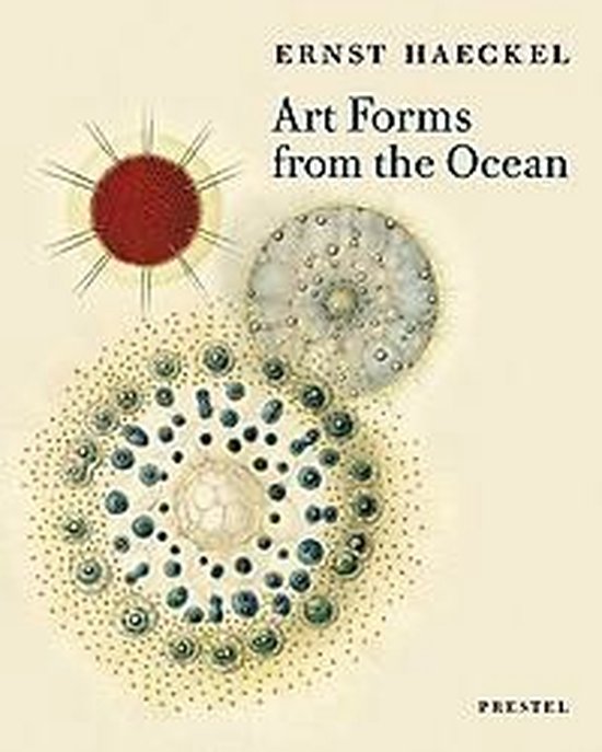 Art Forms From The Ocean