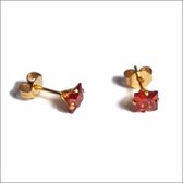Aramat jewels ® - Zweerknopjes goudkleurig vierkant zirkonia rood chirurgisch staal 5mm