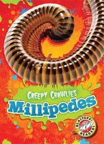 Creepy Crawlies - Millipedes