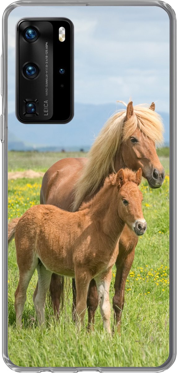 Telefoonhoesje Geschikt voor Huawei P40 Pro hoesje - Paarden - Veulen - Berg - Siliconen Telefoonhoesje Telefoonhoesje