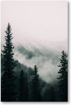 Hoge bomen in het bos in de bergen bedekt met de mist - 60x90 Forex Staand - Besteposter - Landschap