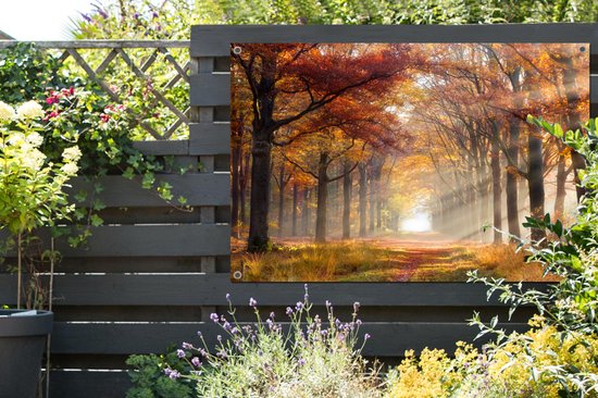 Affiche de jardin Automne - Forêt - Arbre - 120x80 cm - Jardin