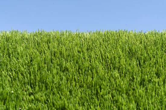 Kunstgras 4 x 9 meter - 40mm ✅ Nederlandse Productie - Uitgeroepen zachtste Grastapijt ✅ Waterdoorlatend | Tuin | Kind | Dier