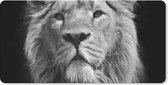 Bureau onderlegger - Muismat - Bureau mat - Aziatische leeuw tegen zwarte achtergrond in zwart-wit - 80x40 cm