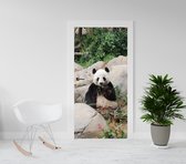 Deurposter - deursticker | Panda beer |  201,5 x 93 cm | andere maat ook mogelijk | behang van vinyl | Natuurposters